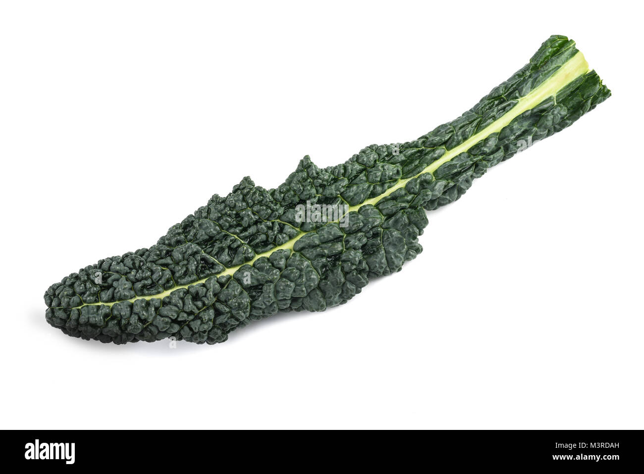 Cavolo nero, italiano kale isolati su sfondo bianco Foto Stock