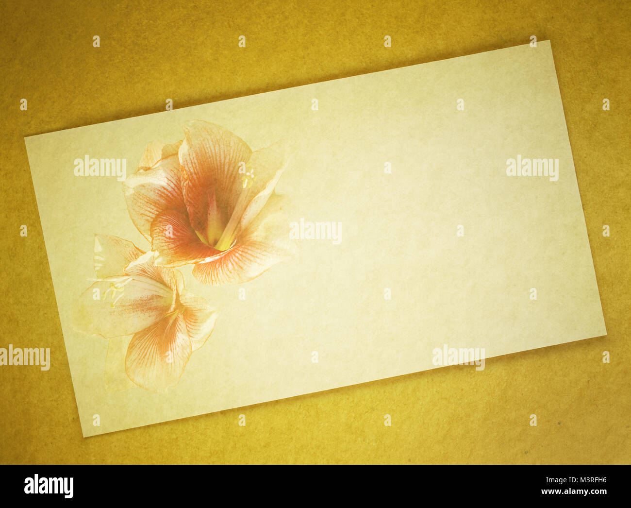 Lettera di sfondo con due orchidee come decorazione Foto Stock