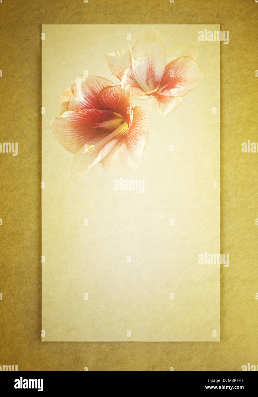 Lettera di sfondo con due orchidee come decorazione Foto Stock