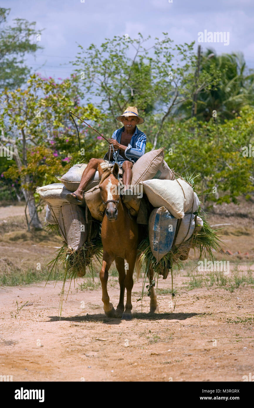 Il Brasile. Aracoiaba. Il contadino a cavallo come pack animale. Foto Stock
