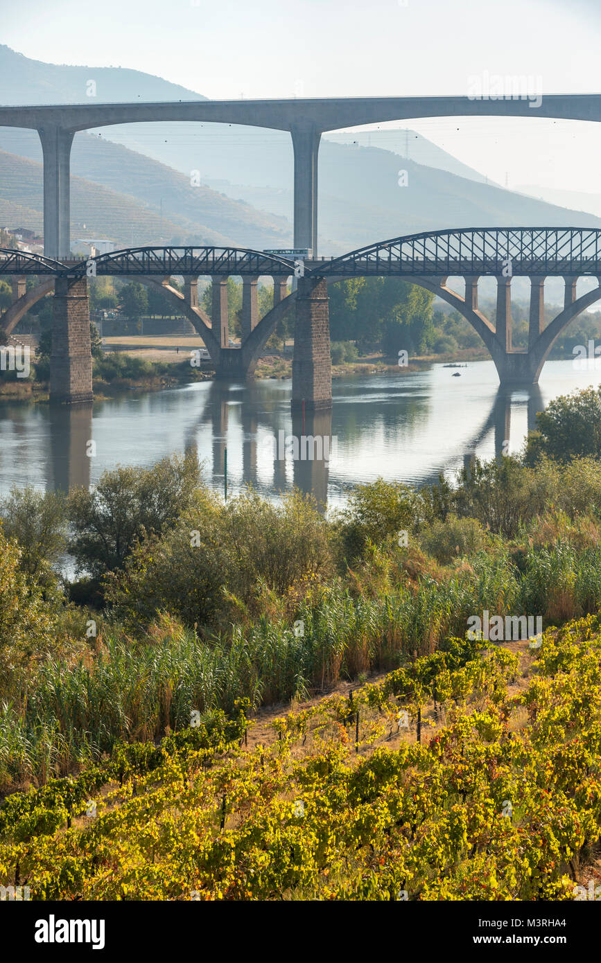 Ponti attraverso il fiume Douro al peso da Régua, nella regione dei vini di Alto Douro Portogallo settentrionale Foto Stock