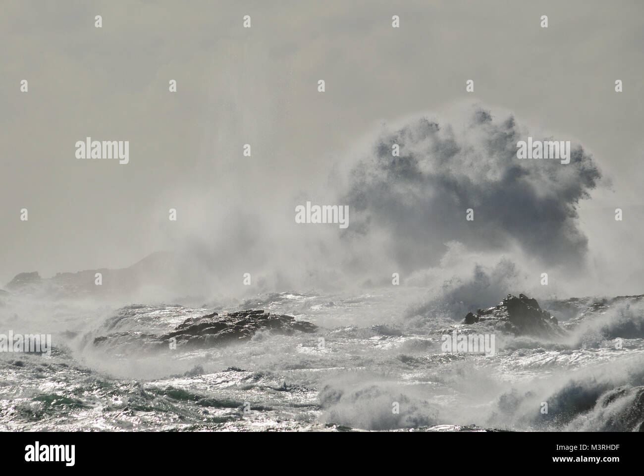Costa rocciosa con mare mosso e la grande onda quando si rompe, Telde, Gran Canaria Isole Canarie Foto Stock