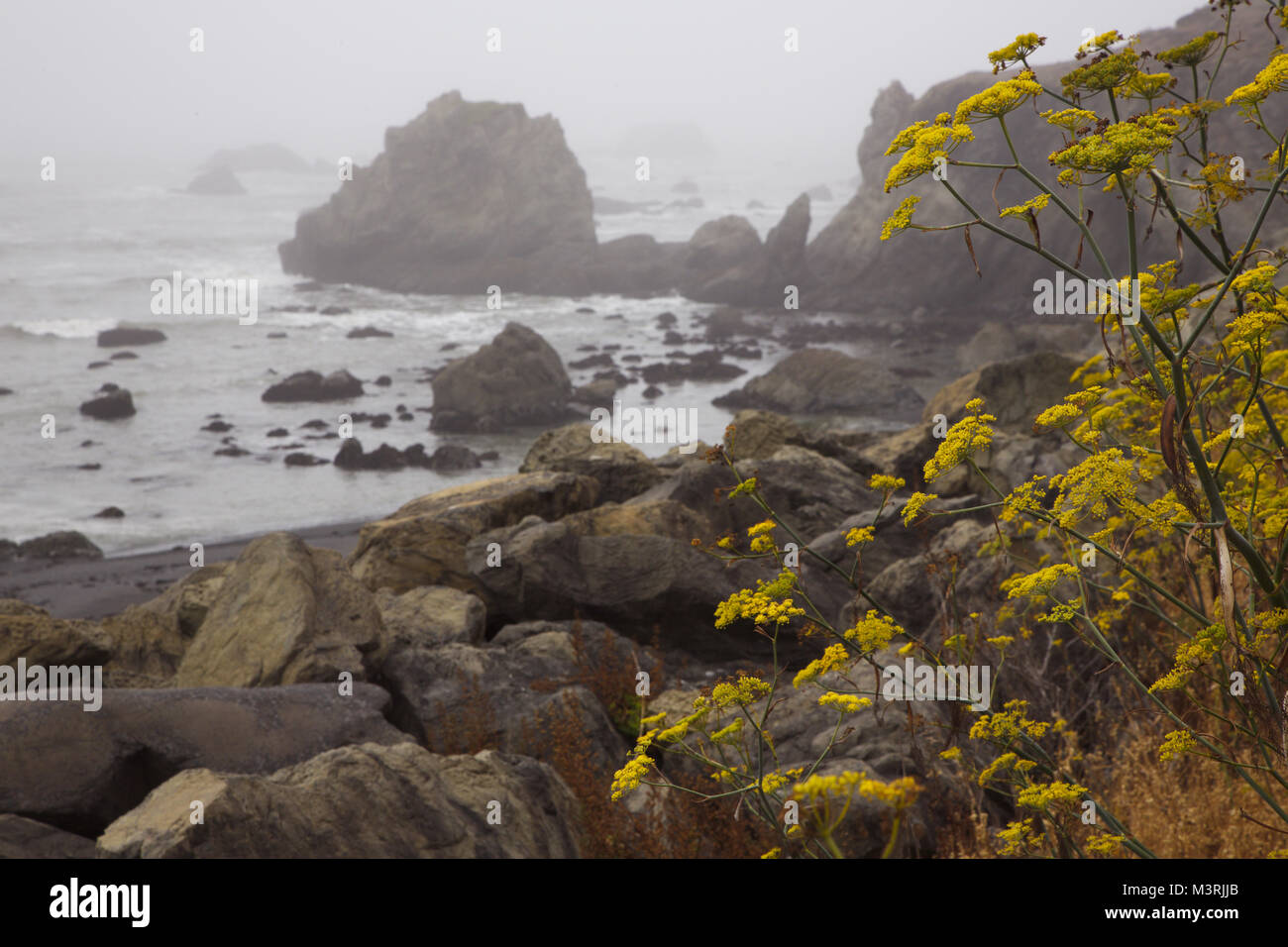 Mattole Road, chiamato anche perso Coast Scenic Road, è in Humboldt County, California e offre indimenticabili vedute dell'Oceano Pacifico. Foto Stock