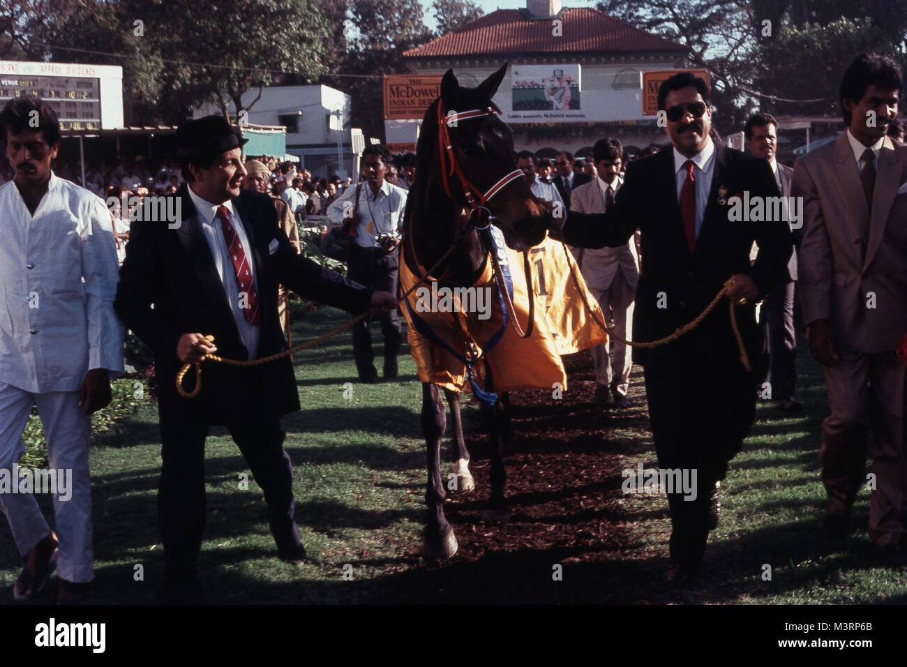 1991 Vincitore del Derby di Mumbai un cavallo da corsa, Mumbai, Maharashtra, India, Asia Foto Stock