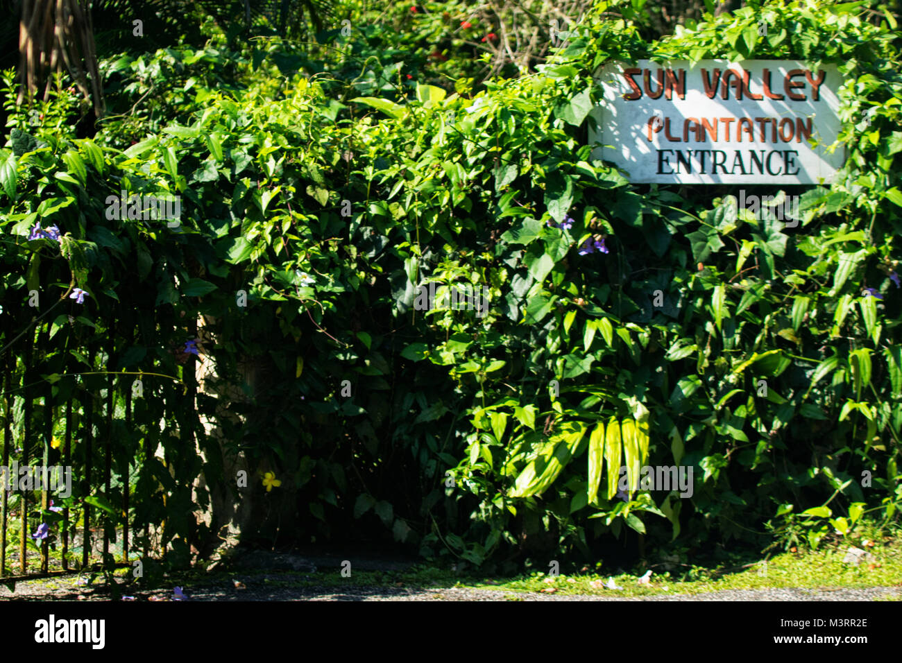 Segno di ingresso alla Val di Sole plantation contro la vegetazione lussureggiante di Ocho Rios, Giamaica, West Indies, dei Caraibi Foto Stock