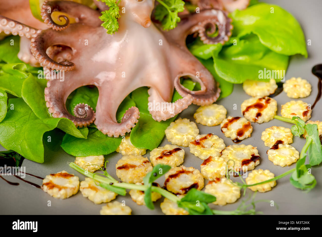 Il polpo servito con lattuga, mais e rametto di foglie di pisello sulla piastra, close up Foto Stock