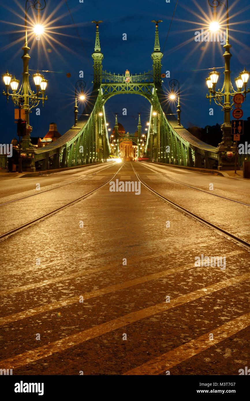 Gocce di pioggia su asfalto vista notturna, Ponte della Libertà a Budapest Foto Stock