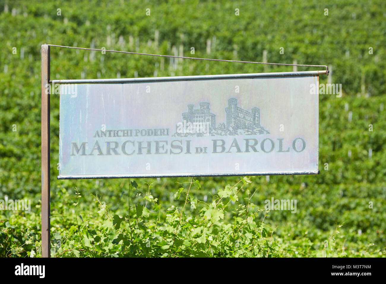 Marchesi di Barolo segno cantina e vigneti verde collina in una giornata di sole in Barolo, Italia Foto Stock