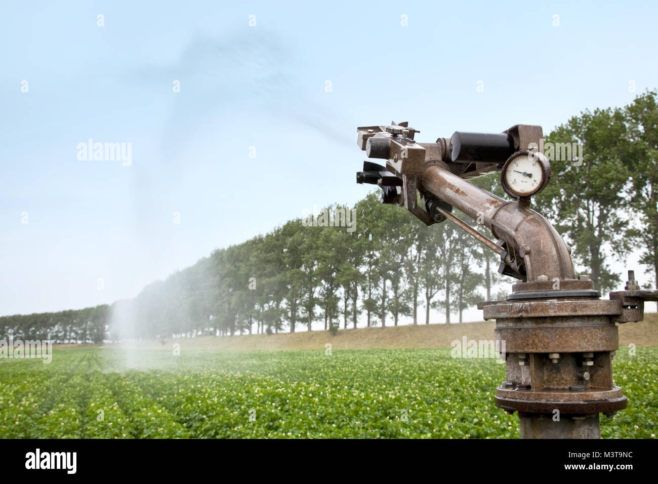 Irrigazione agricoltura macchina su una fattoria campo durante un lungo periodo senza pioggia Foto Stock