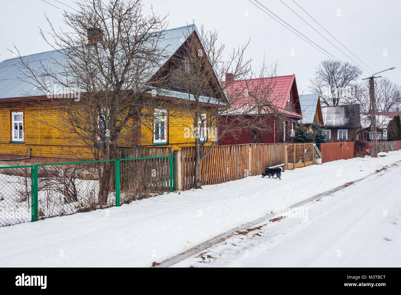 Case di legno lungo la strada nel villaggio Soce sulla cosiddetta Terra di ante aperte del sentiero, famosa per la tradizionale architettura in provincia di Podlaskie, Polonia Foto Stock