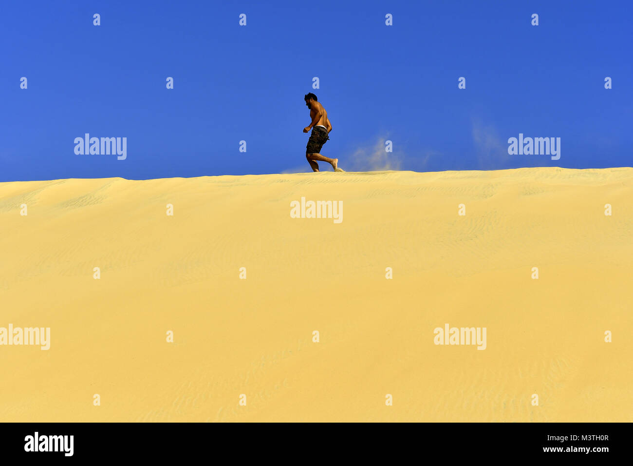 Idoneità in esecuzione sul deserto area di dune Foto Stock