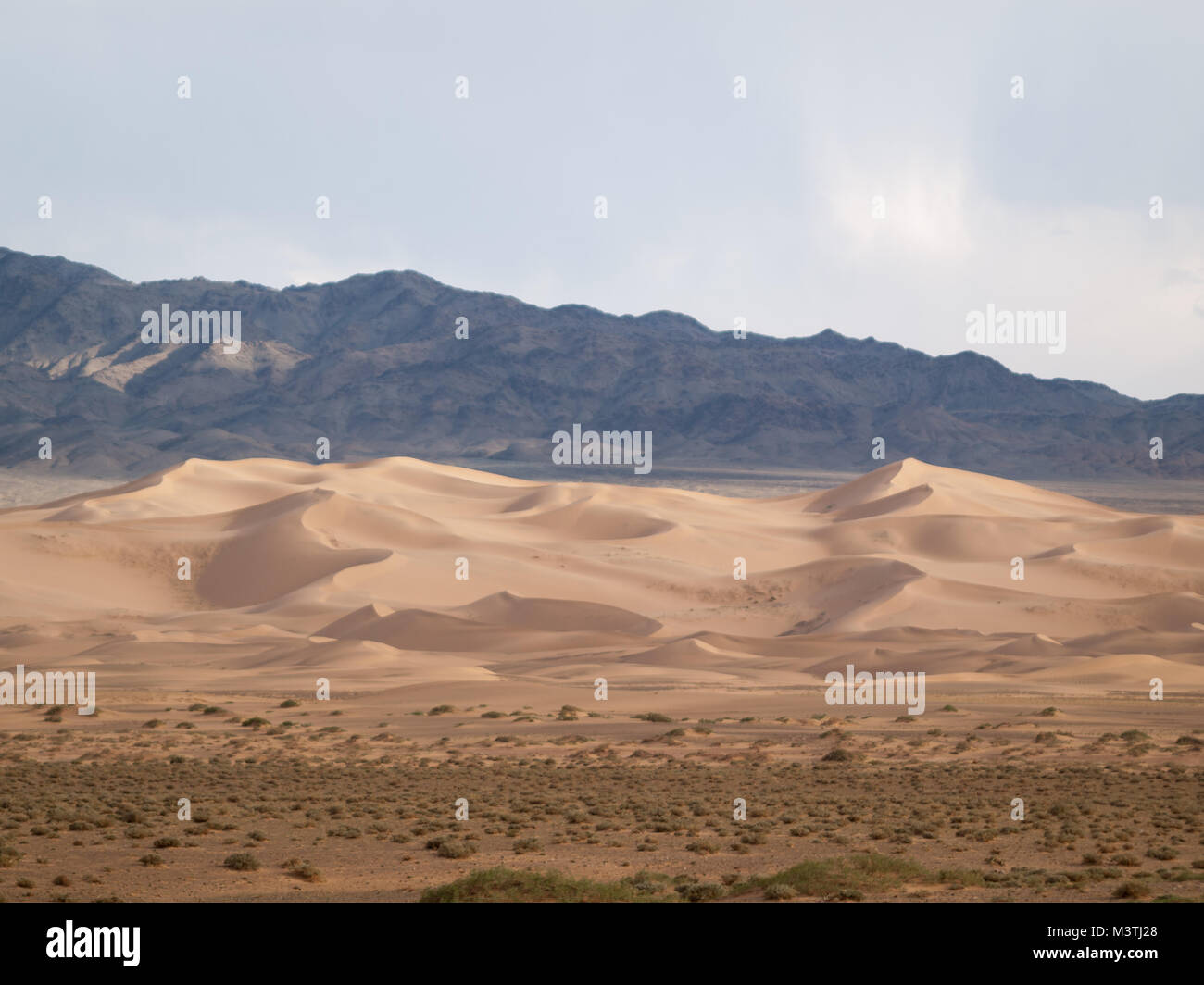 Khongoryn Els dune di sabbia con le montagne sullo sfondo Foto Stock