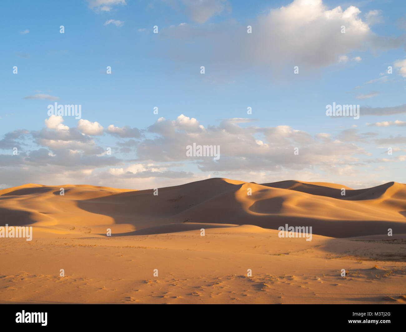 Le dune di sabbia di Khongoryn Els Foto Stock