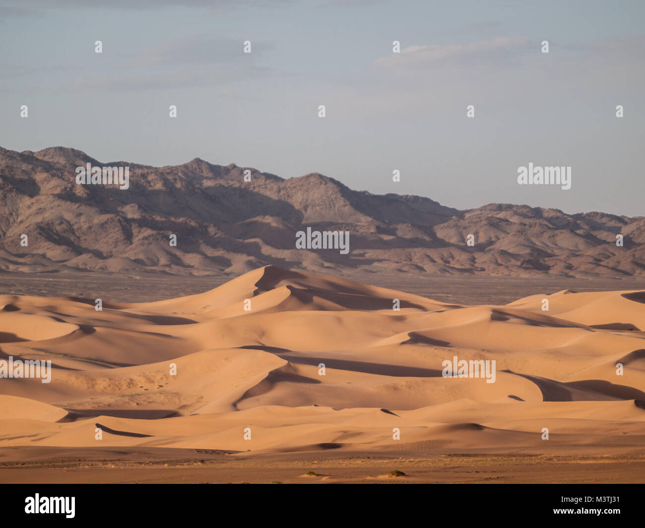 Khongoryn Els dune di sabbia Foto Stock