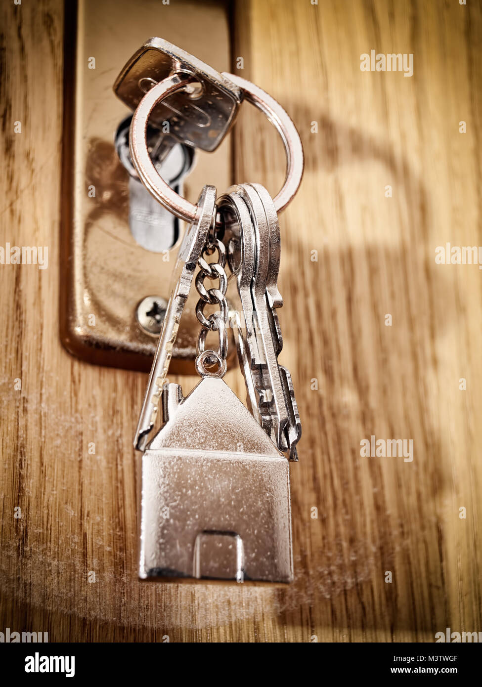 Primo piano di una casa chiavi nella serratura della porta. Foto Stock