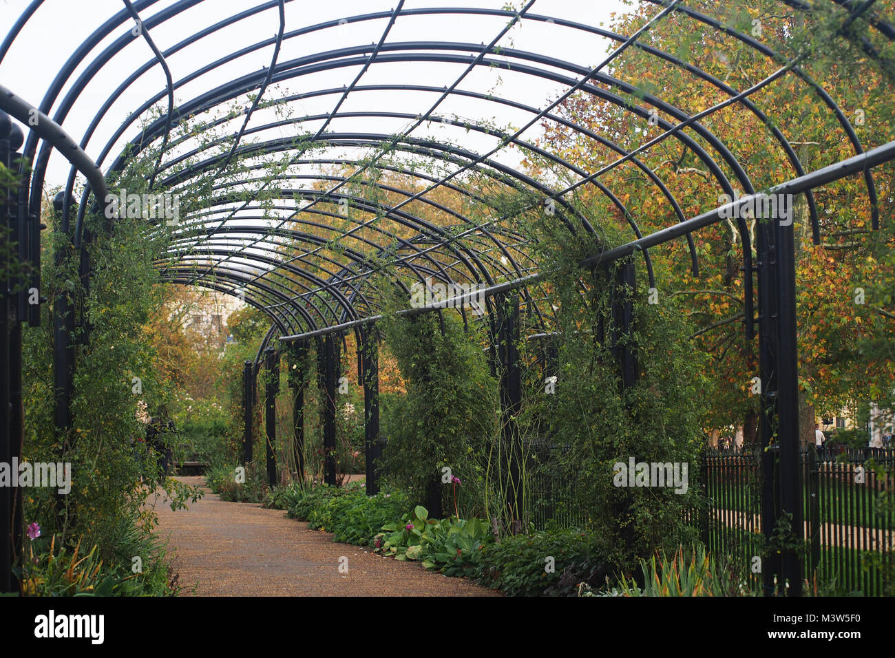 Una vista in Hyde Park del Holocaust Memorial Gardens attraverso il Giardino di Rose guardando attraverso le pergole, Londra Foto Stock