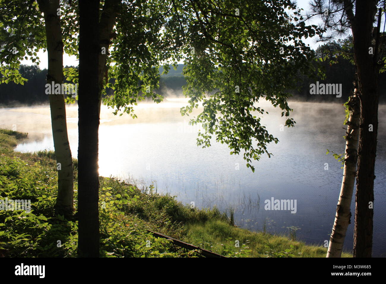 Il lago incorniciato da alberi Foto Stock