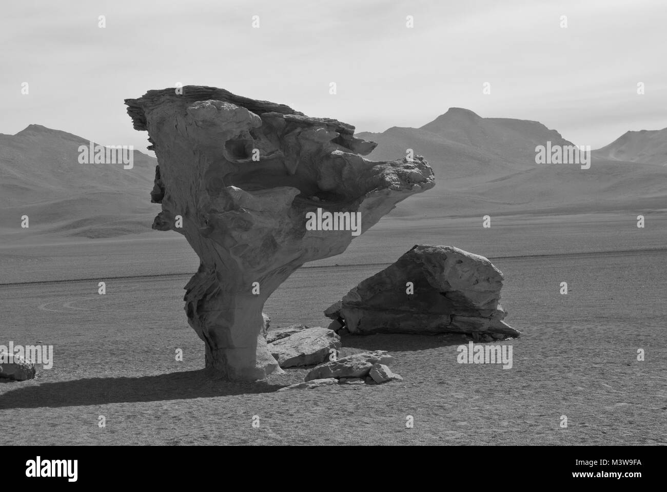 Una pietra a forma di albero in alta altitudine deserto della Bolivia Foto Stock
