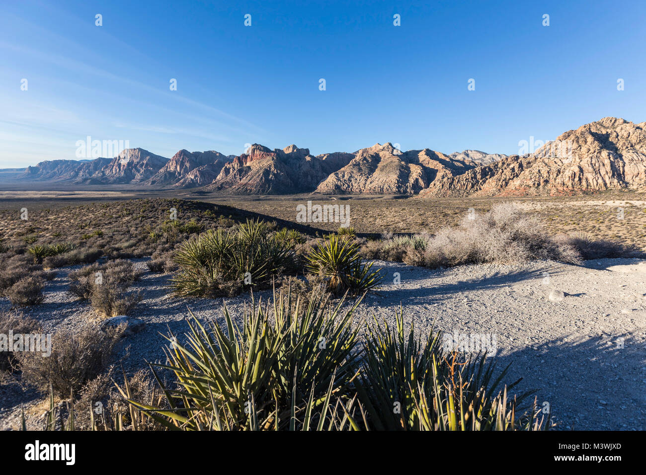 Vista la mattina presso Scenic loop si affacciano nella Red Rock Canyon National Conservation area vicino a Las Vegas in Nevada. Foto Stock