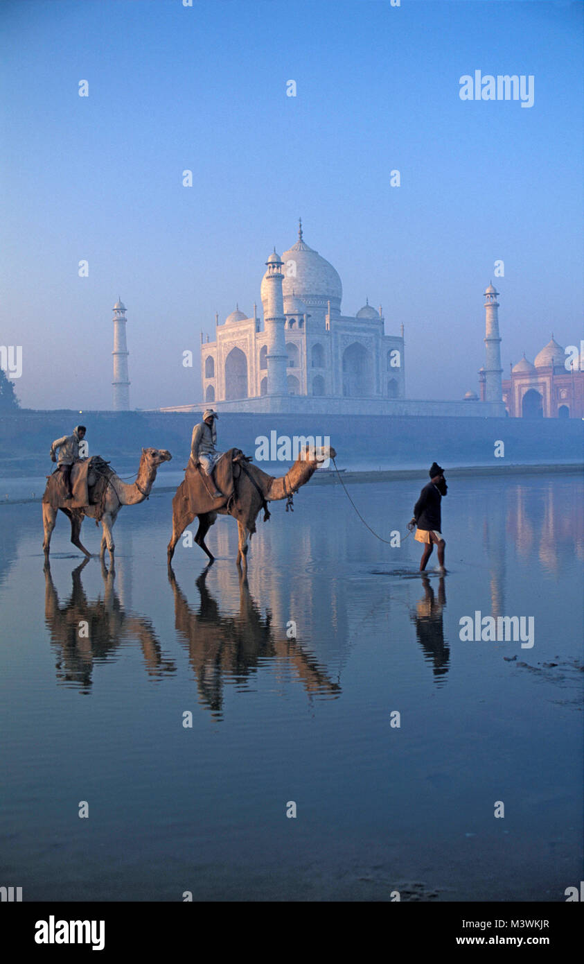India. Agra.Taj Mahal. Mausoleo. Islamica architettura di Mughal. Persone e cammelli Attraversamento fiume Yamuna. All'alba. Unesco World Heritage Site. Foto Stock