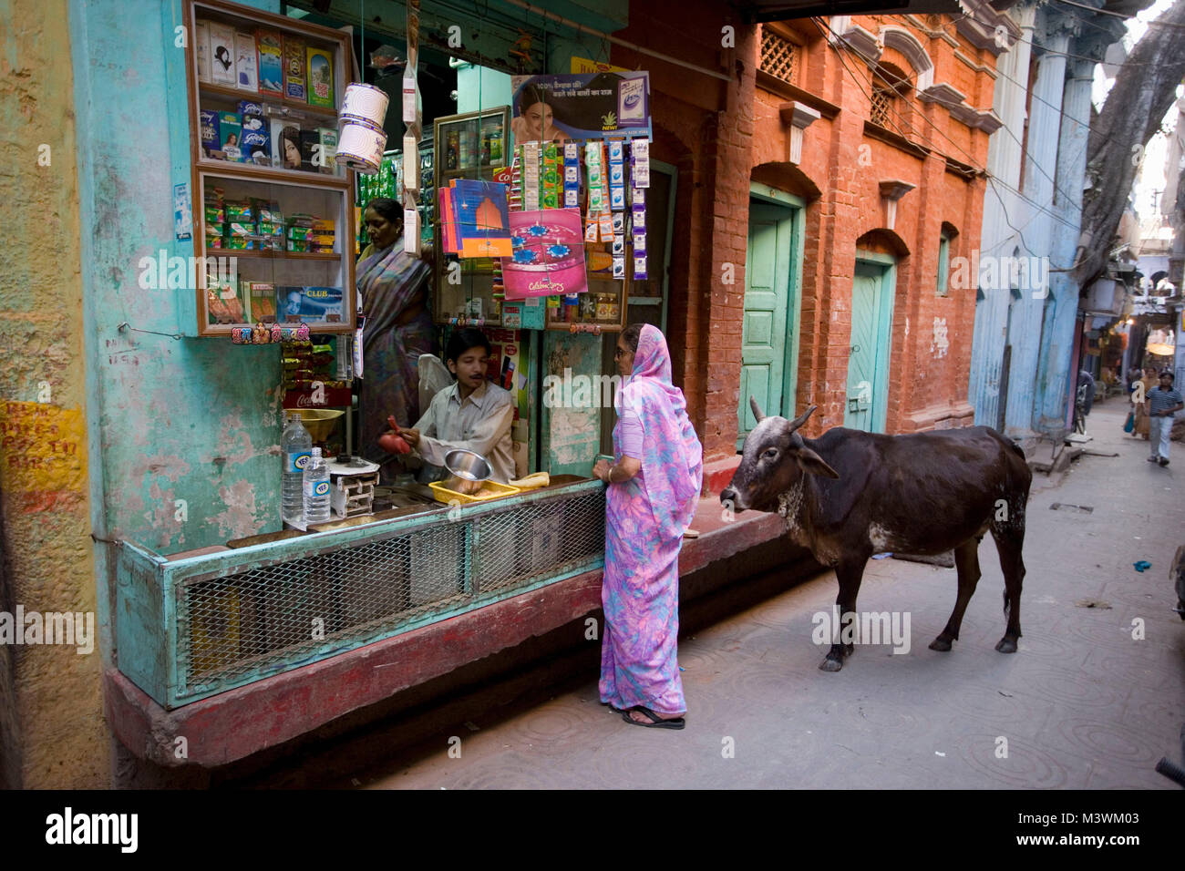 India. Varanasi (Benares). Shop, donna e la vacca sacra in strada. Foto Stock