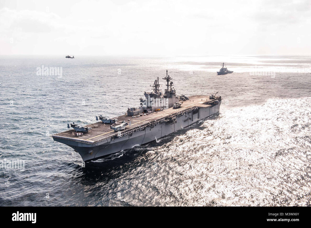 171128-N-AC254-174 GOLFO ARABICO (nov. 28, 2017) l'assalto anfibio nave USS America (LHA 6) e l'Arleigh Burke-class guidato-missile destroyer USS tramoggia (DDG 70) vapore in formazione durante la partecipazione a una foto esercizio nel Golfo Arabico. L'America è l'ammiraglia per l'America anfibio gruppo pronto e, con l'avviato xv Marine Expeditionary Unit, è distribuito negli Stati Uniti Quinta Flotta area di operazioni a sostegno della sicurezza marittima operazioni destinate a rassicurare gli alleati e partner e preservare la libertà di navigazione e il libero flusso di commercio nella regione. (U.S. Navy Foto Stock