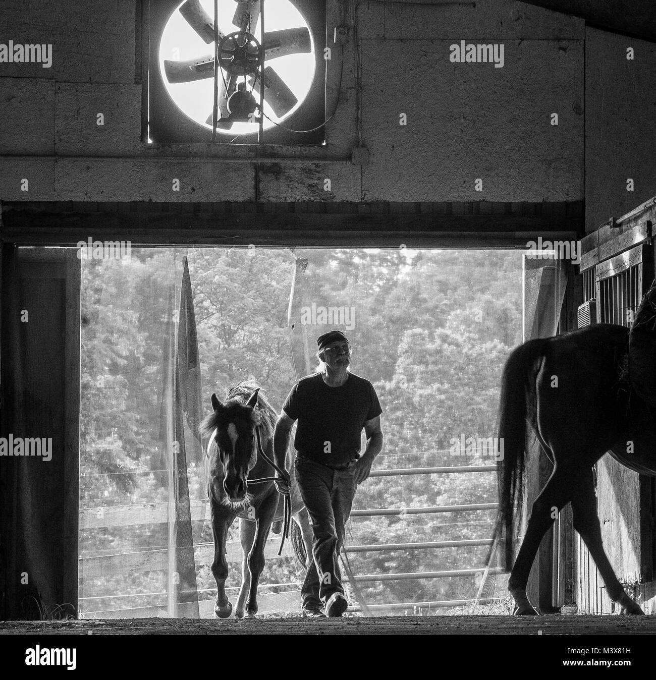 La ferratura del cavallo è stato chiamato un mestiere da alcuni e una scienza da altri. Maniscalco Heymering Henry è stato ferratura di cavalli per più di quaranta anni e descrive il commercio come un'arte. La fondazione di Heymering arte è il suo amore per l'animale. Un uomo di poche parole e molti sorrisi, Heymering's sorrisi veramente trasmettere la sua passione per il suo lavoro. Cavallo Maniscalco Henry Heymering accompagnatrici un cavallo in un granaio. 001 SRM 1029b&w da USS NIMITZ CVN (68) Foto Stock