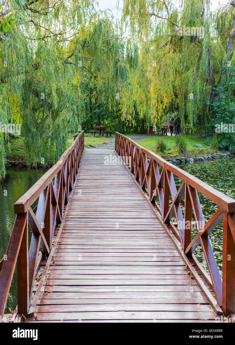 Piccolo ponte di legno, picnic tavolo e panche in autunno park. Esterno posto di riposo Foto Stock