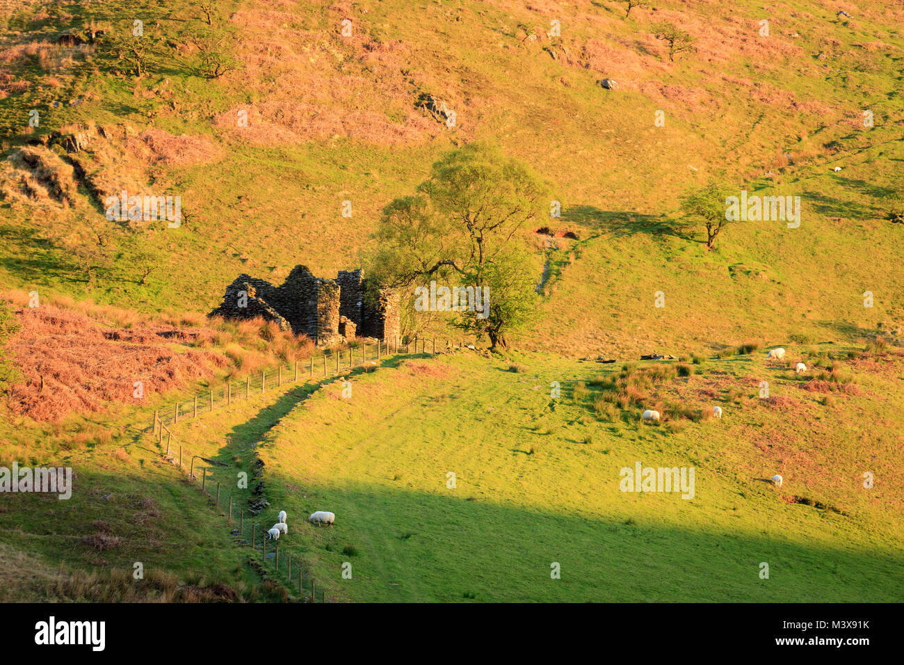 Cwmystwyth vicino al Ponte del Diavolo e Pont-rhyd-y-groes Ceredigion nel Galles Foto Stock