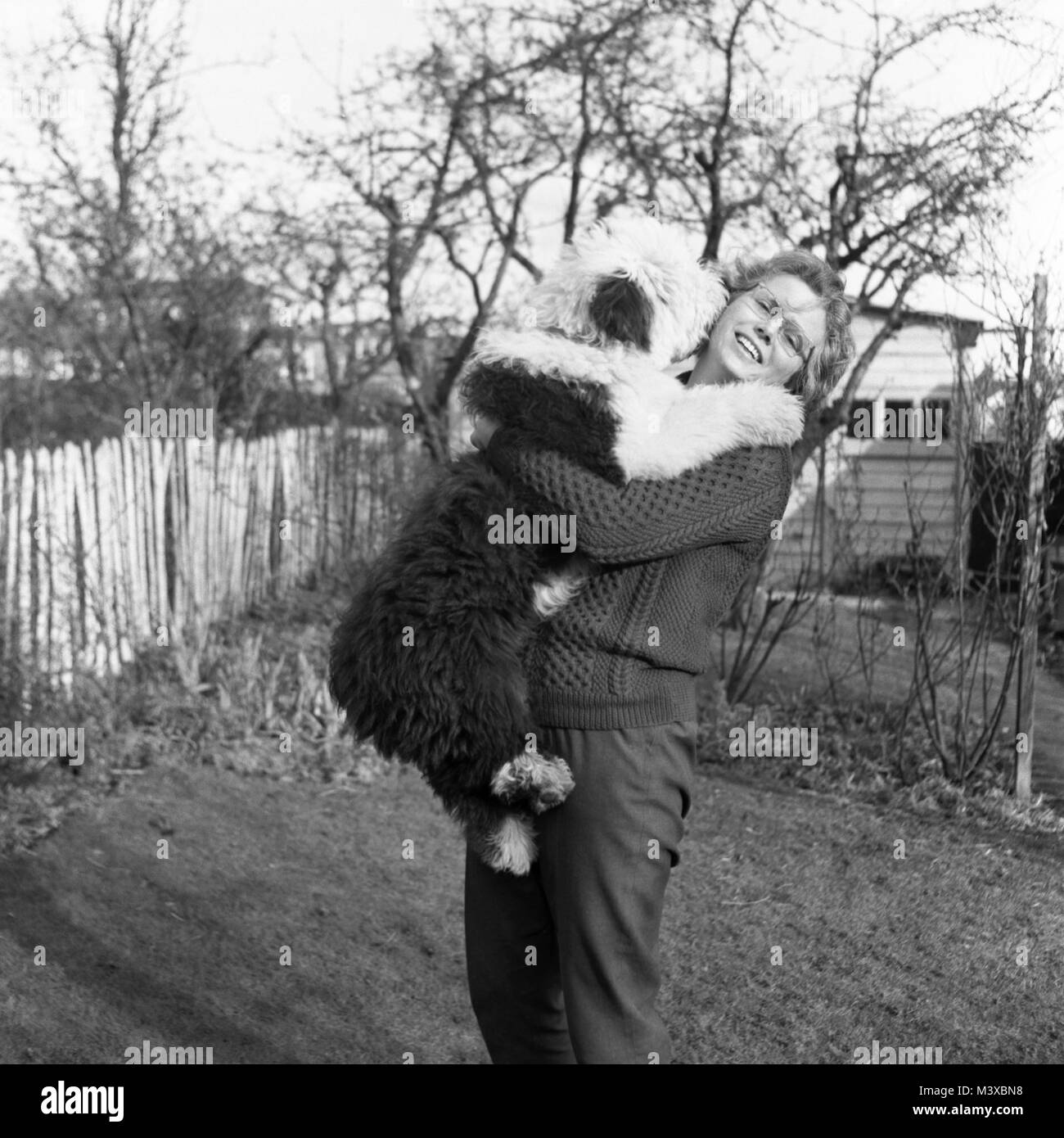 Signora giovane azienda Old English Sheepdog cucciolo Foto Stock