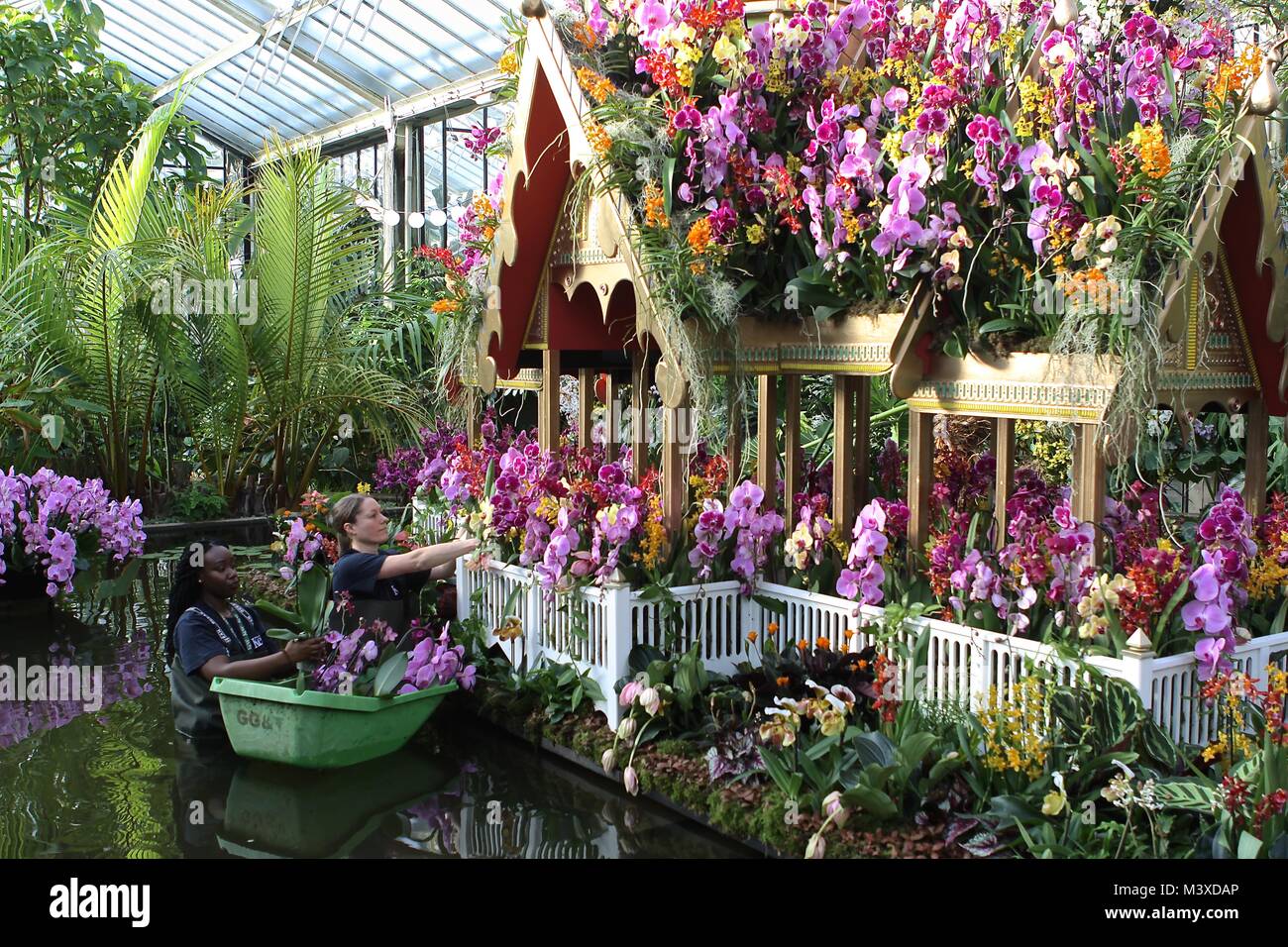 Orchidee festival a Kew Gardens LONDRA 2018 Foto Stock