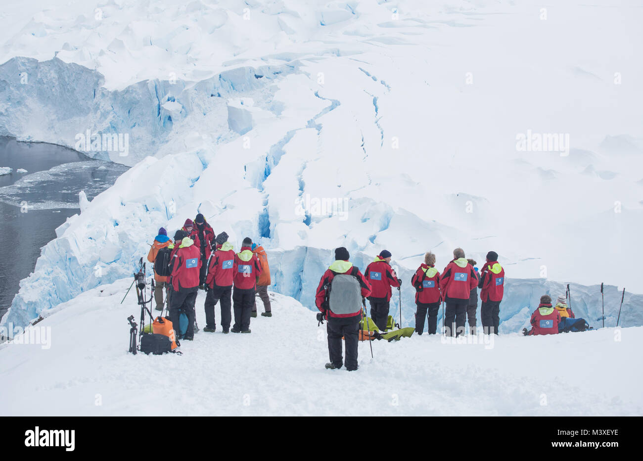 Un gruppo di turisti in piedi in un punto panoramico in Neko Harbour, l'Antartide. Foto Stock