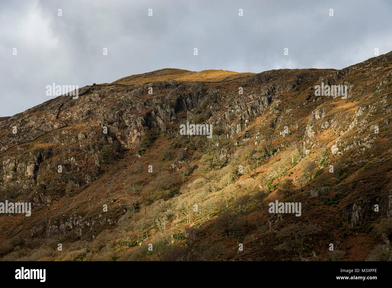 Versante roccioso a Llyn Dinas, Snowdonia National Park, il Galles del Nord. Foto Stock