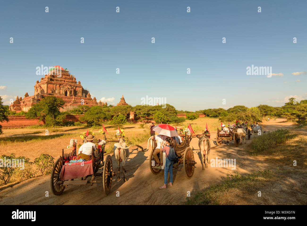 Bagan: Sulamani Temple, oxcart decorata per l'evento del matrimonio fotografia, driver, gli stupa, , Mandalay Regione, Myanmar (Birmania) Foto Stock