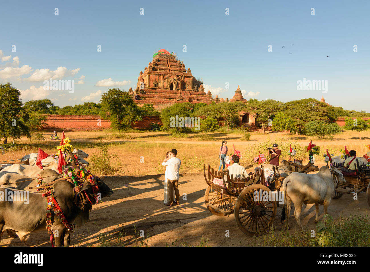 Bagan: Sulamani Temple, oxcart decorata per l'evento del matrimonio fotografia, driver, gli stupa, , Mandalay Regione, Myanmar (Birmania) Foto Stock