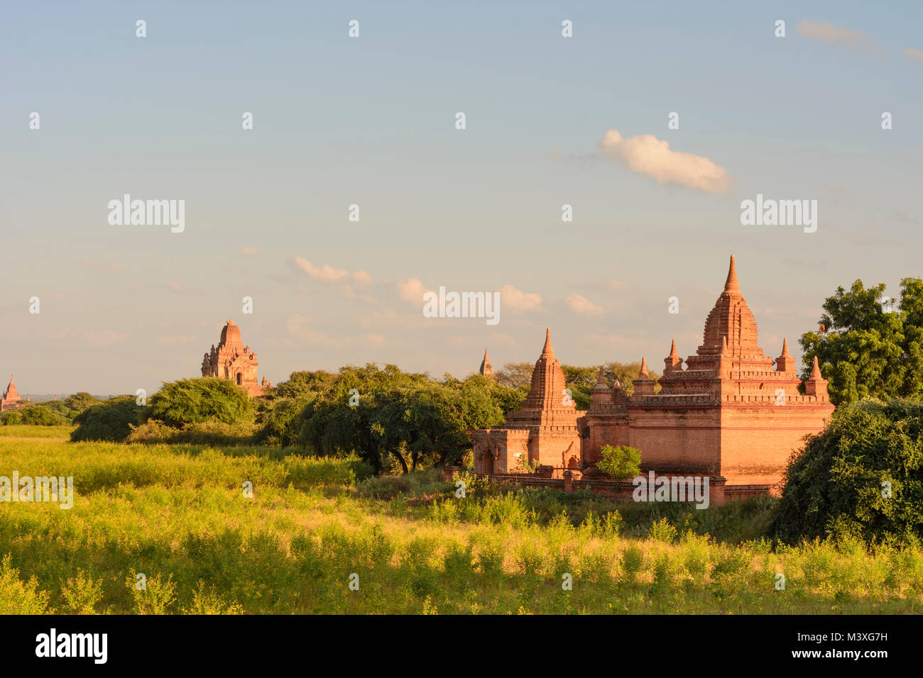 Bagan: stupa, templi di pianura centrale, , Mandalay Regione, Myanmar (Birmania) Foto Stock