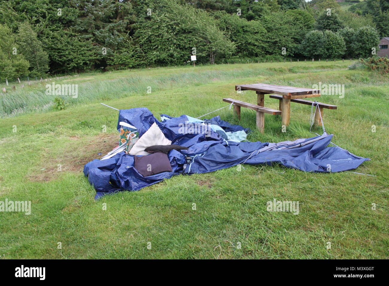Cestino da picnic con fiori, vino e cibo sul tavolo in pietra al coperto  Foto stock - Alamy