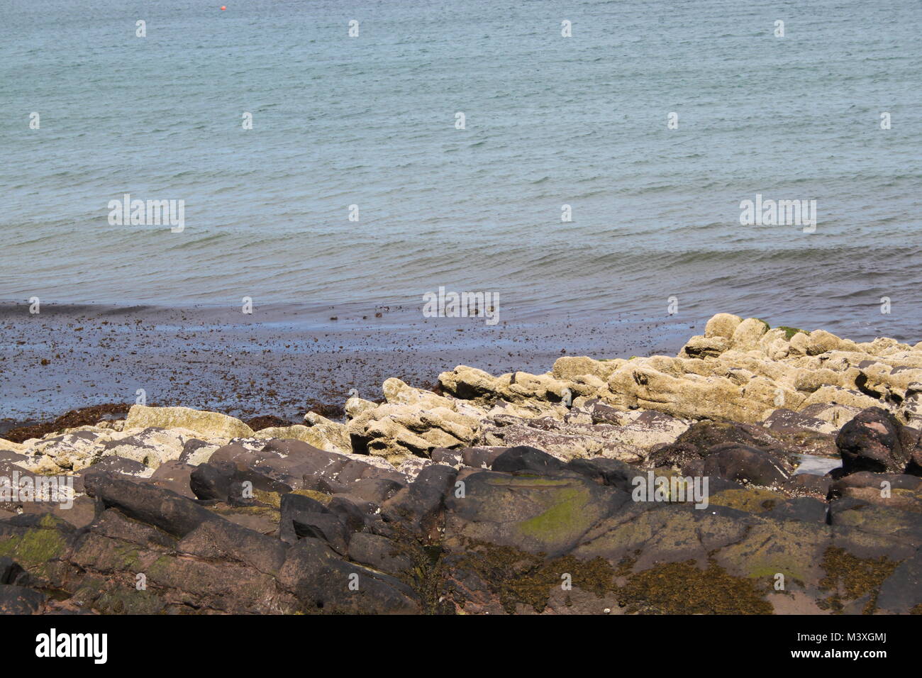 Baia di pelare, sbucciare, Isola di Man. Acqua pulita. Le alghe sulle rocce e in mare in corrispondenza della estremità lontana del lungomare Foto Stock