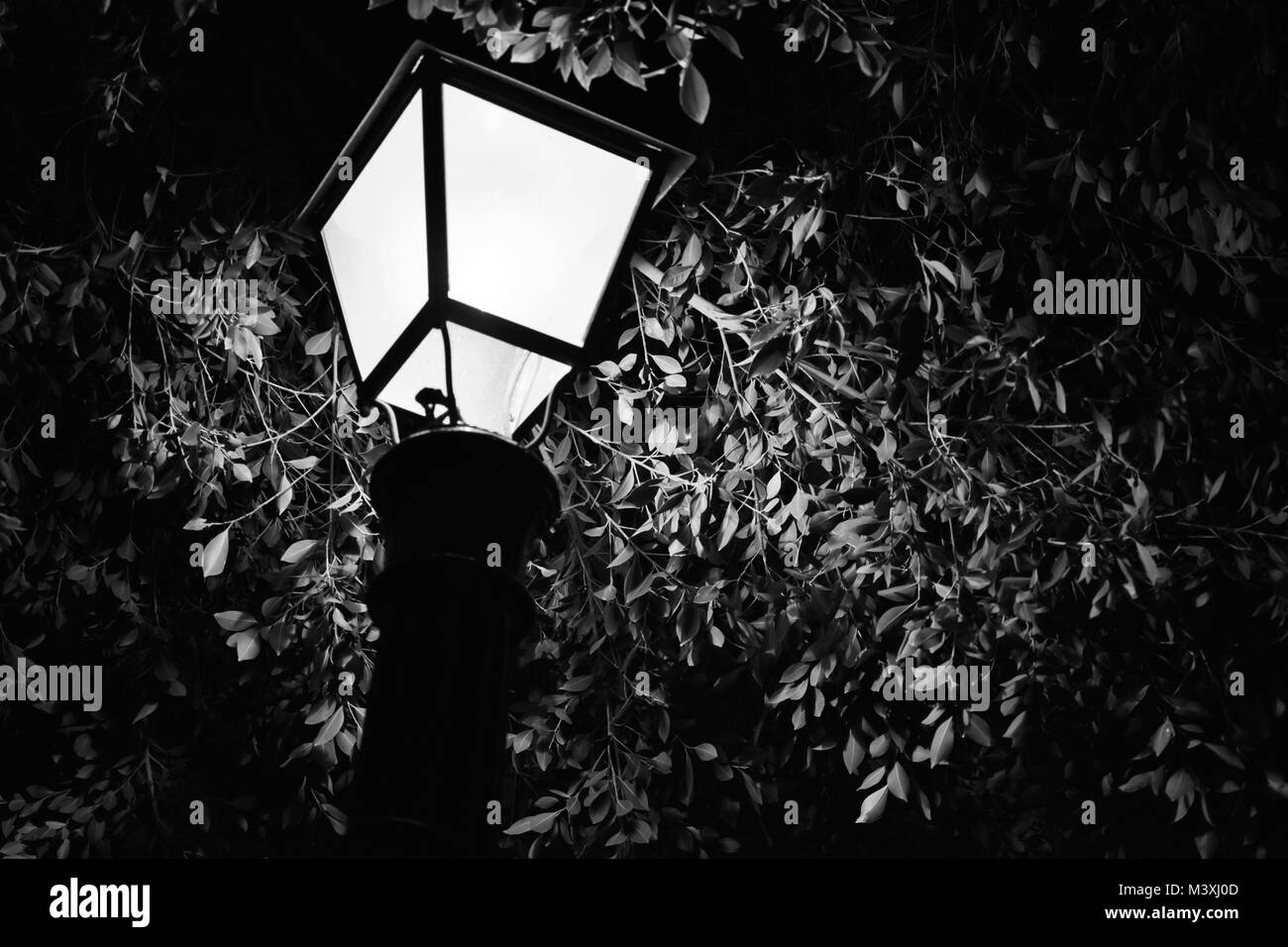 Lampada di notte Foto Stock