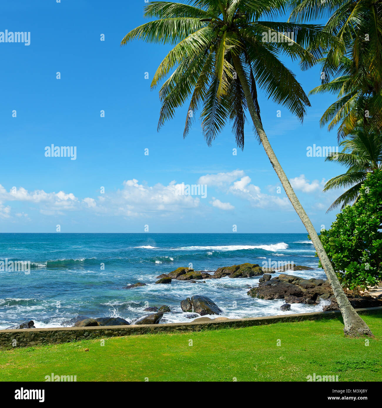 Seascape tropicale con palme da cocco e mare turchese e il bianco delle nuvole in cielo. Foto Stock