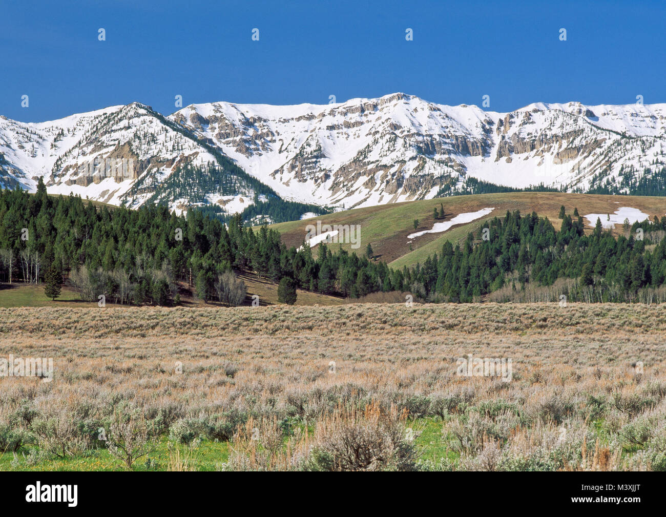 Il Centennial Mountains al di sopra della valle del centenario vicino al Red Rock pass e lakeview, montana Foto Stock