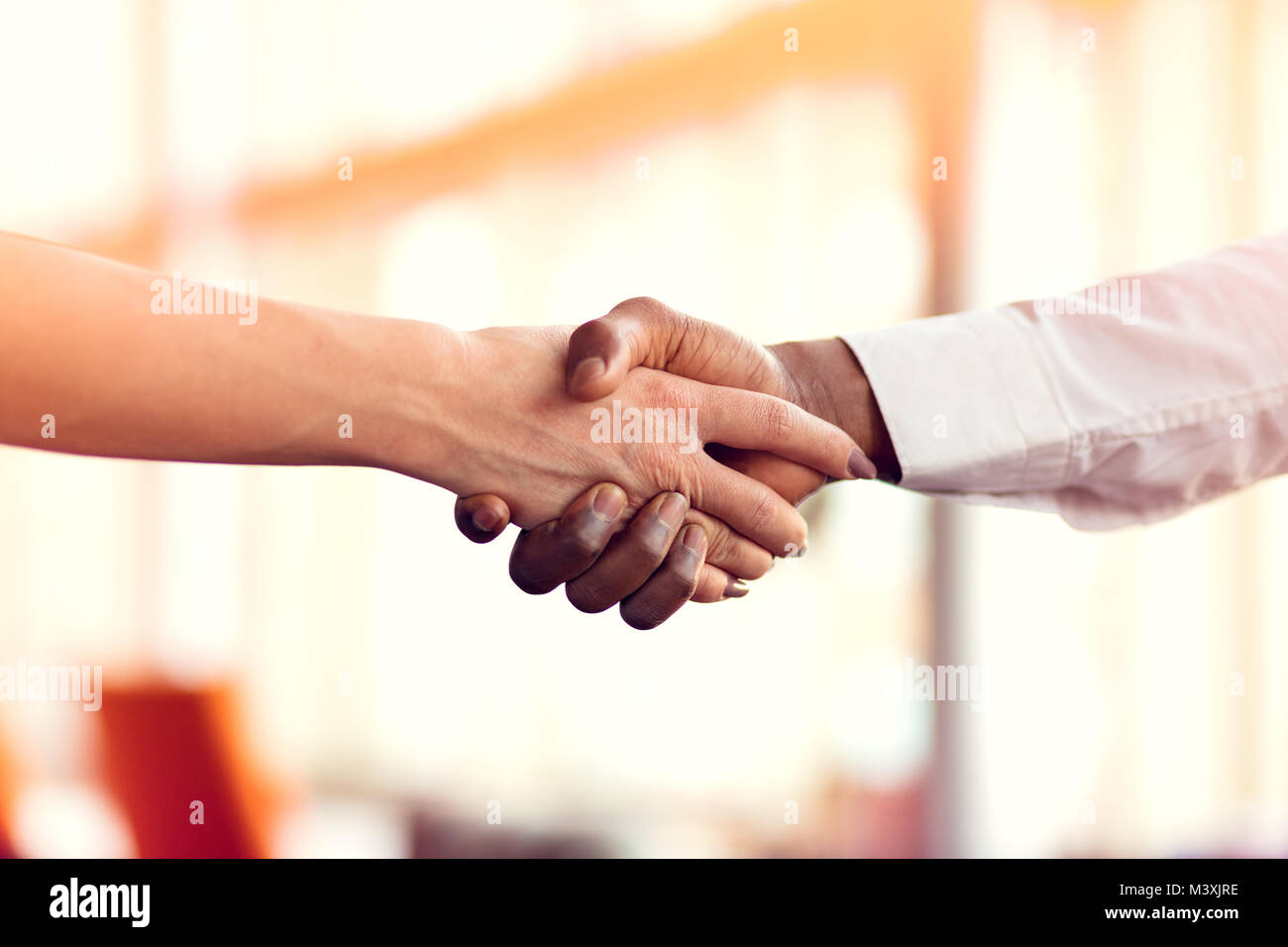 Primo piano del bianco e nero si stringono la mano su una trattativa Foto Stock
