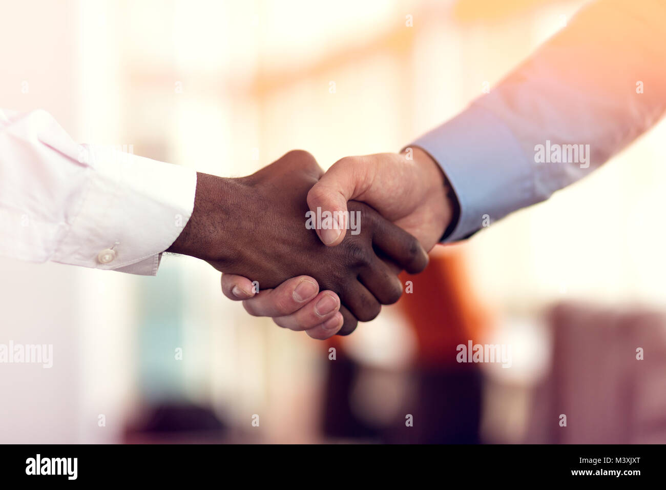 Primo piano del bianco e nero si stringono la mano su una trattativa Foto Stock