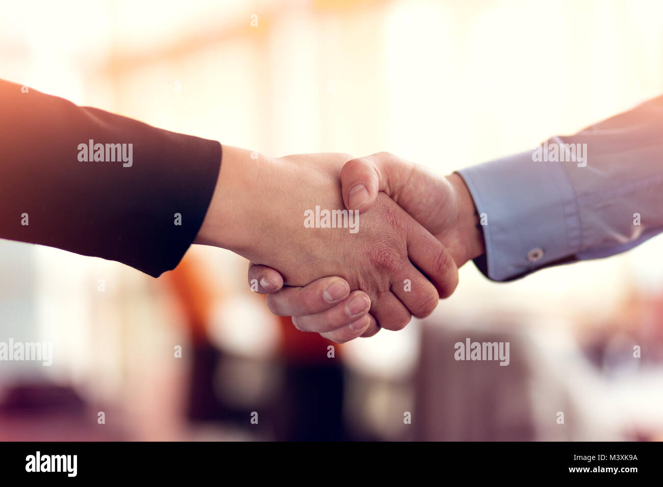 Business di successo di handshaking di persone la chiusura di una trattativa Foto Stock