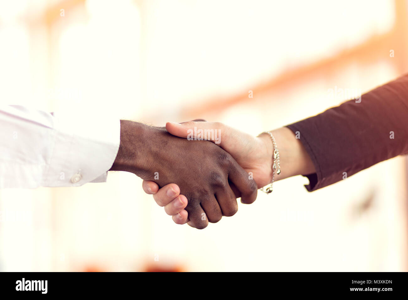 Primo piano del bianco e nero si stringono la mano su una trattativa Foto Stock