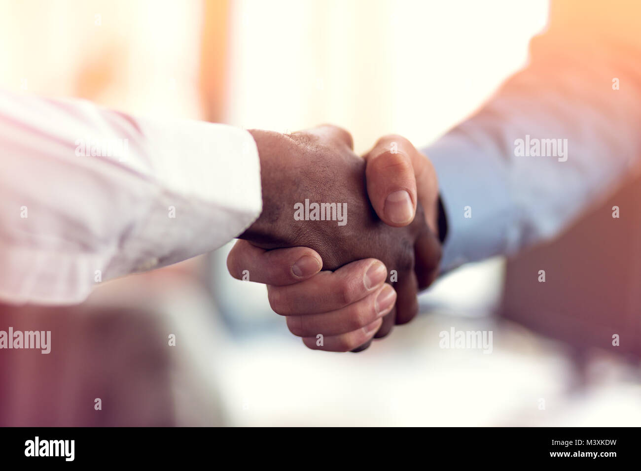 Primo piano del bianco e nero si stringono la mano su una trattativa Foto Stock