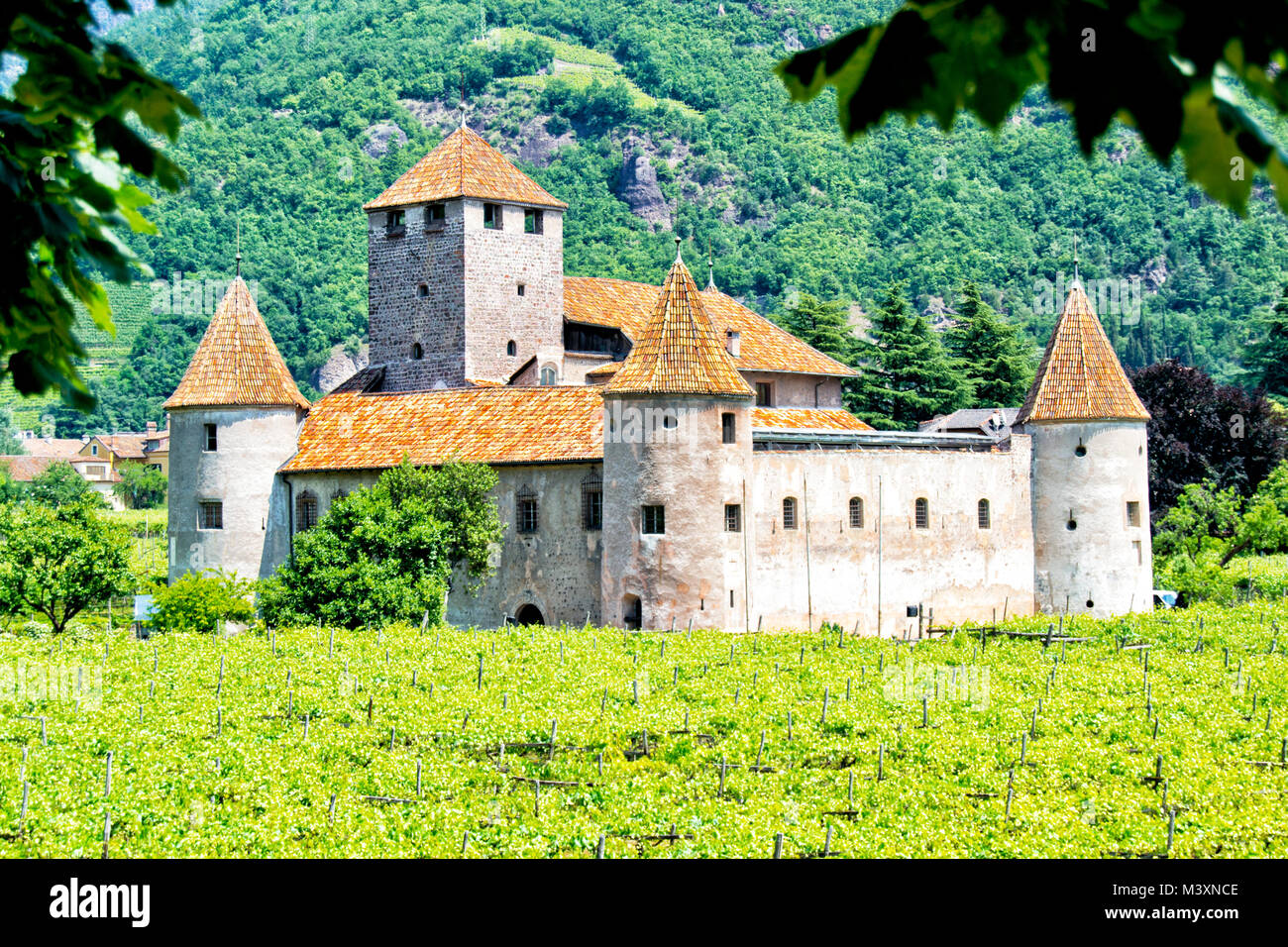 La storica belle mura e torri rotonde del castello "Castel Mareccio' con vigneti - Bolzano, Alto Adige, Italia Foto Stock
