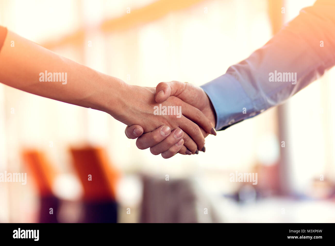 Business di successo di handshaking di persone la chiusura di una trattativa Foto Stock