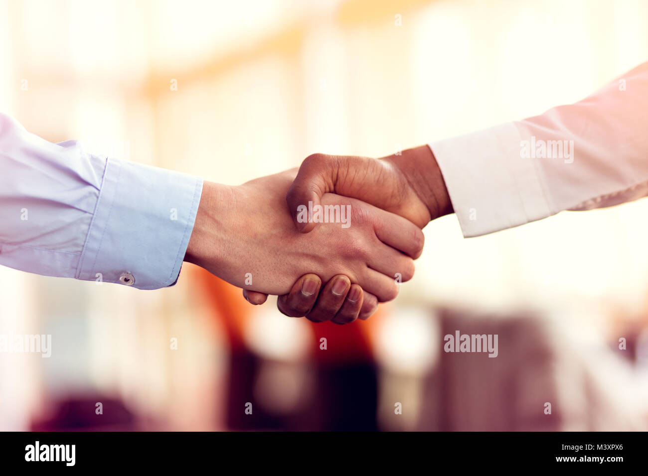 Primo piano del bianco e nero si stringono la mano su una trattativa Foto Stock