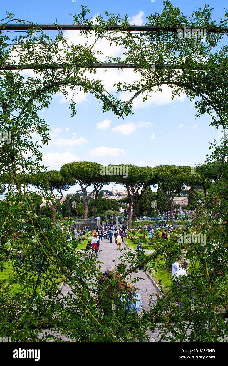 Roma, Italia - 22 Aprile 2017 : la famosa Municipal Rose Garden sul colle Aventino nel centro di Roma. È aperto durante i mesi primaverili ed estivi e Foto Stock